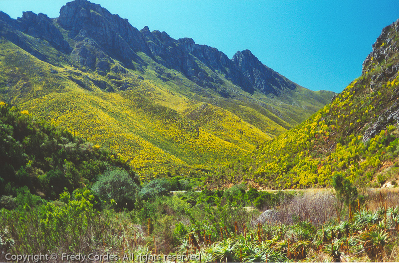 20001118_0036_Suedafrika