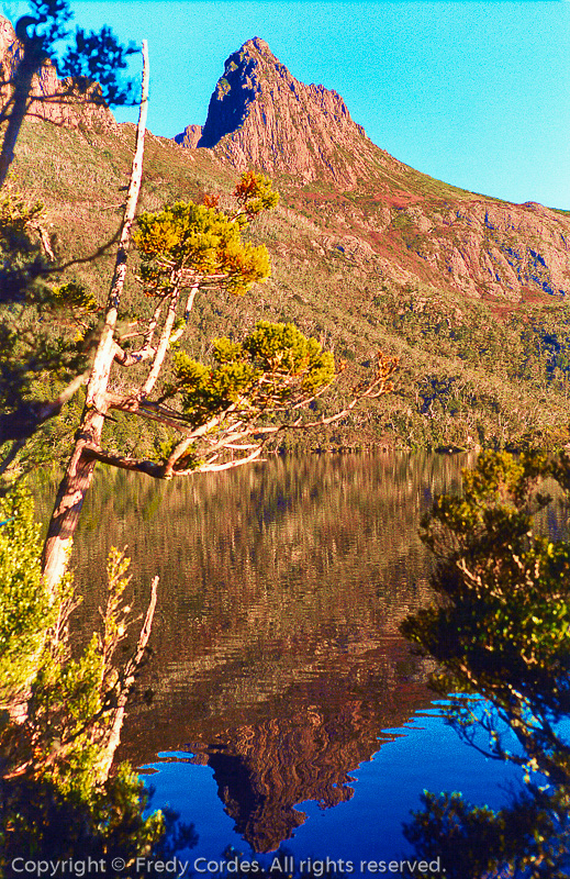 20020102_0015_Tasmanien