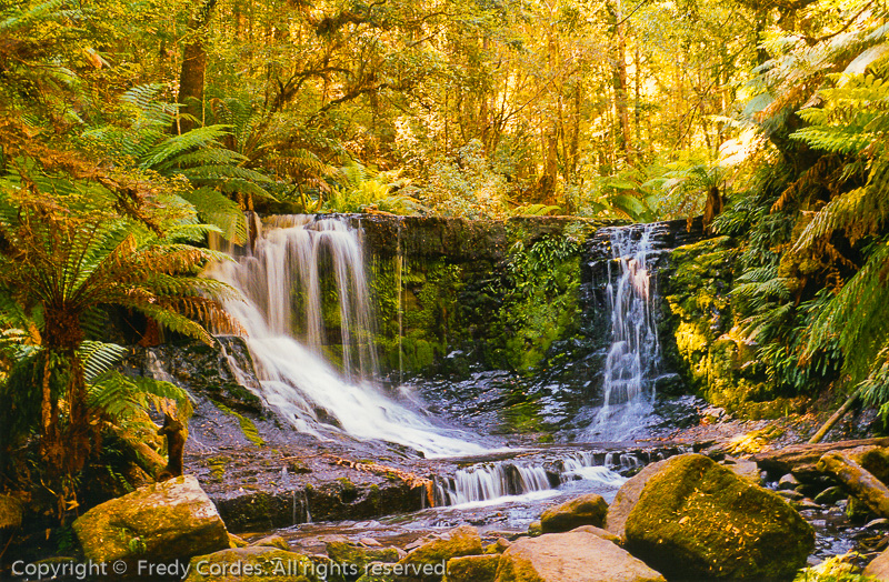 20020106_0019_Tasmanien