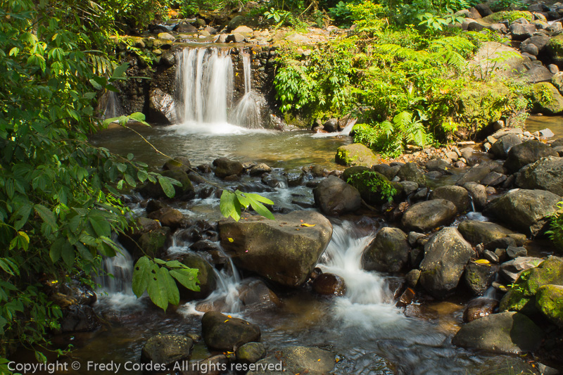 20120630_0093_Goa_Kreo