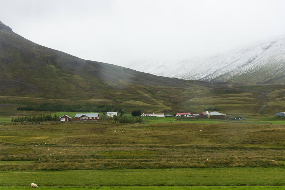 20240909_0013_Island