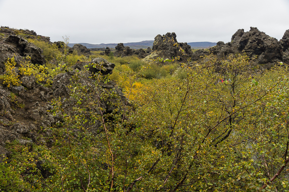 20240909_0027_Island