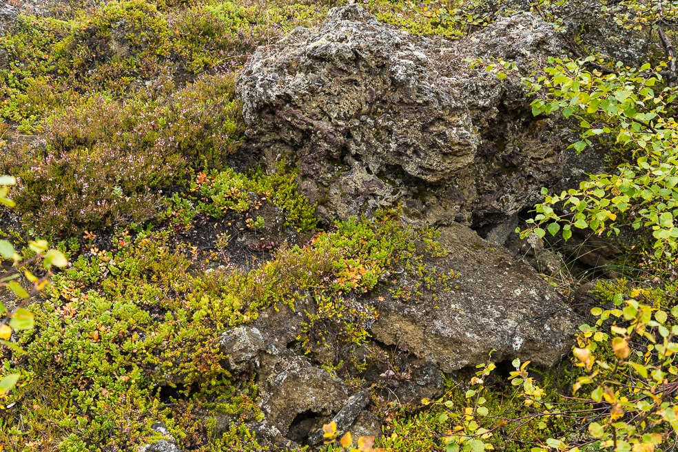 20240909_0036_Island