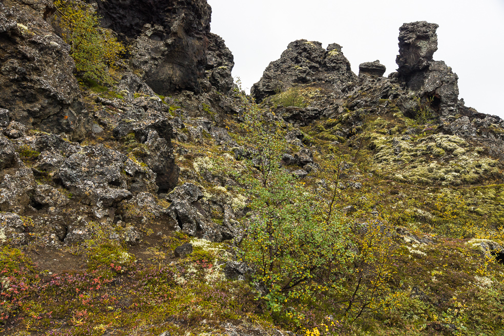 20240909_0053_Island