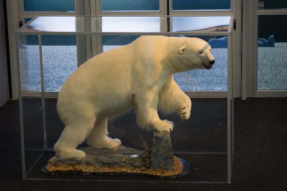 20240910_0178_Island